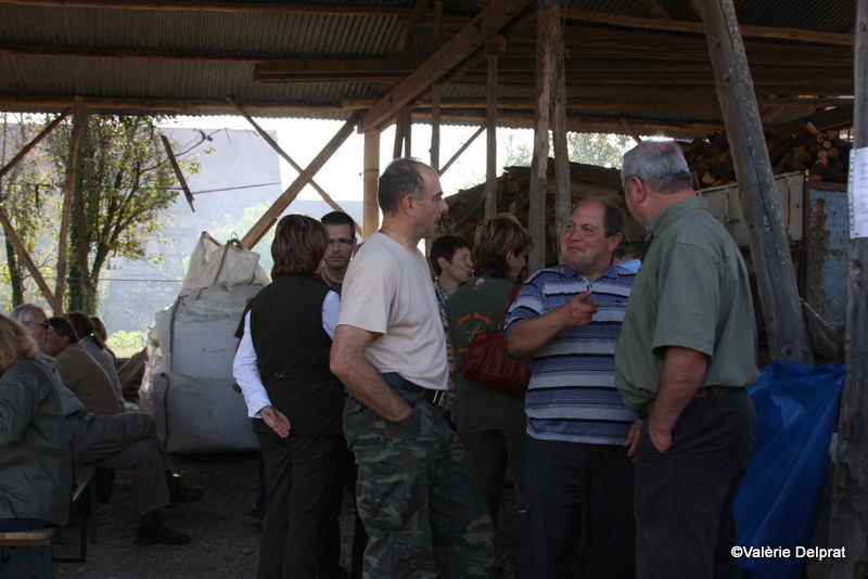 Field Erstein 09 (83).JPG